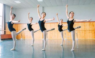 舞蹈艺考一般考什么