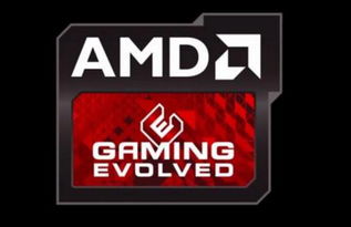 AMD 是什么东西