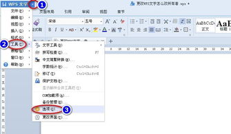 Office 2016 的WPS文字怎么改全部者