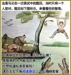 投机取巧盍兴乎来是什么生肖