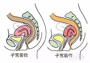 如何 怀孕 如何怀孕的方法