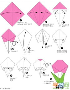 简易花折纸 图片欣赏中心 急不急图文 Jpjww Com