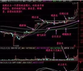 炒股时遇到的三大问题我都知道，关键是怎么解决呢？