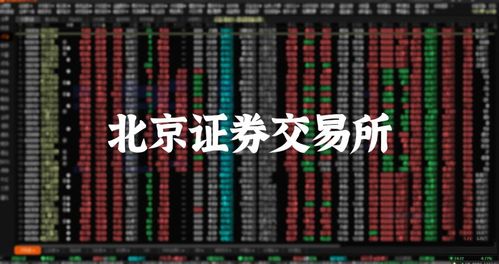 北京交易所都有哪些股票类型