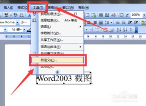 Word2003文档中怎么修改图片尺寸 