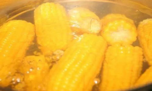 煮完玉米的水直接倒掉 太浪费了,看完才知道作用真的太大了