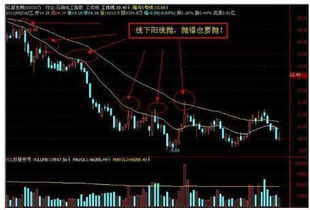 怎样迅速找到周线收小阳的个股？