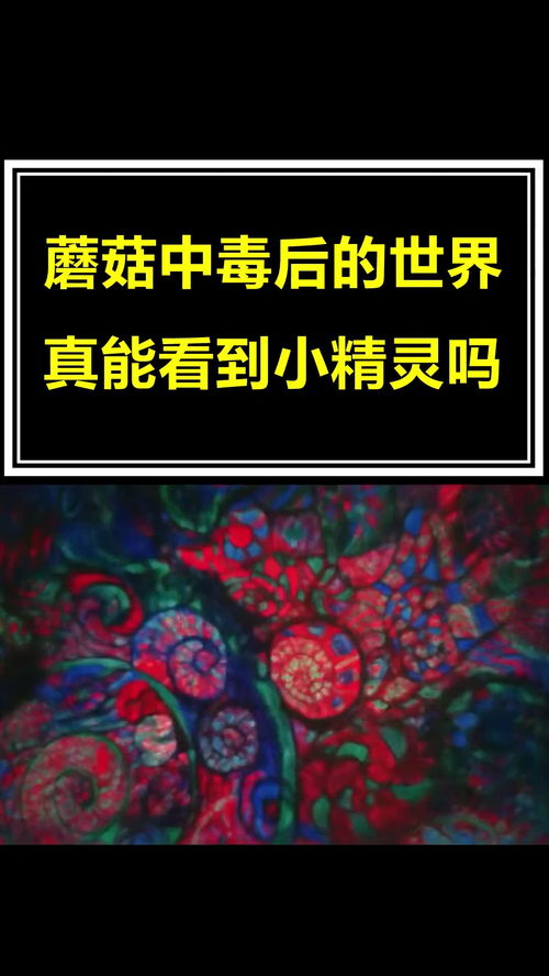 吃蘑菇中毒后的幻觉到底是啥样 冷知识 大开眼界 