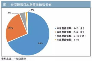 专项债券管理提升方案范文,专项债资本金投向的最主要的俩个领域是什么？