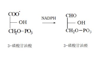 请问磷酸为什么是3元酸请详细说明(磷酸是几元酸,为什么)