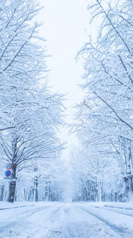 北海道雪景唯美图片 搜狗图片搜索