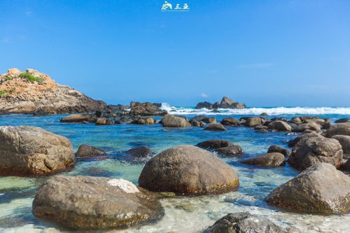 在三亚只能吃海鲜和水果 这些地道的海南菜,比海鲜更值得一试