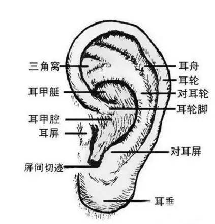 拿来吧你 速写五官很难画 一 一给你详细解析