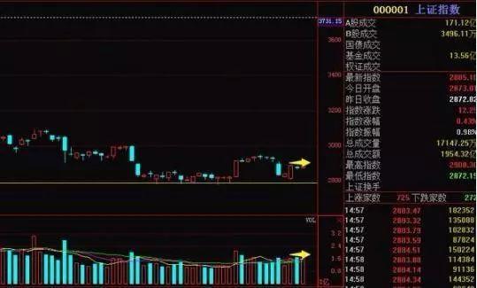 融资融券产生的成交会体现在成交量上吗? 比如某股票融资买入1万股，这一万股会在股票软件上体现出来吗？