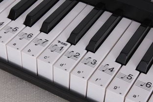 怎么去除琴键上键盘贴留下的胶(琴键上有脏的怎么擦)