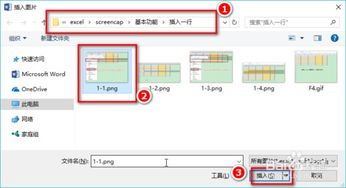 word中怎样插入图片 