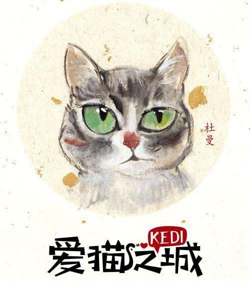 网红猫星人 Fatty 看破世俗,活成了土耳其人心中的一道风景