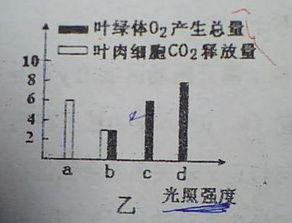 比细胞更小的单位是什么？