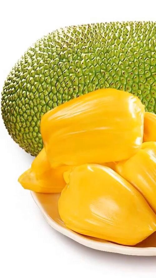 菠萝蜜营养 菠萝蜜有什么营养？可以做菜吗？ 