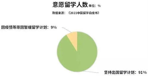 疫情下,91 的人仍坚持出国留学,为什么