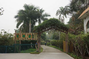 广东景点公园有哪些名字,广东省旅游景点有哪些