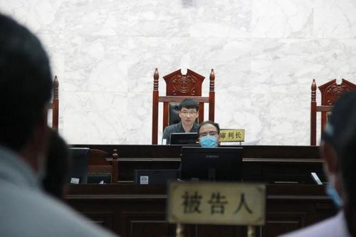 庐江法院 依法审理一起非法捕捞水产品罪案