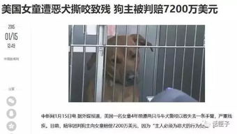 上海狗咬死人赔偿 法律规定被狗咬了最高赔偿多少 