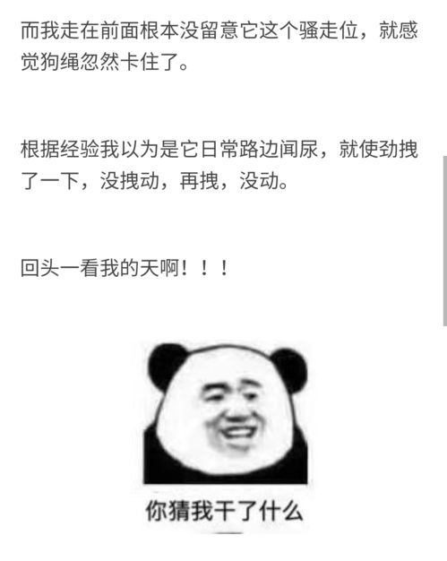 都发生些什么尴尬事啊(都发生些什么尴尬事啊表情包)