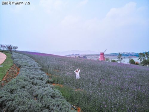 2人去云南旅游攻略,春节去云南旅游 来云南必去的景点