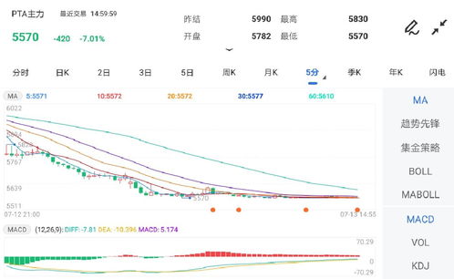 pta期货实时走势