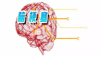 脑动脉支架植入术成功治愈一脑梗塞患者 