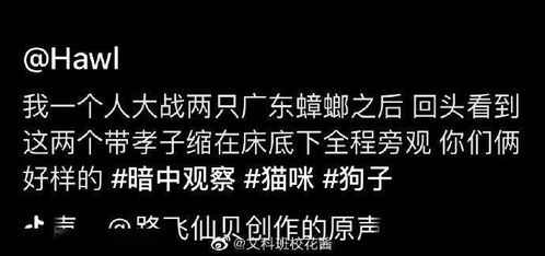 考试前乱吃瓜的下场,都说了考试前专心看书啊不要刷微博啊