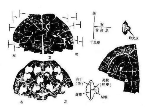 灵兽的命运