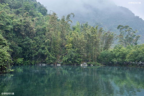 广西柳州深山中发现一口泉水,奔涌不绝深不见底,水源至今没找到