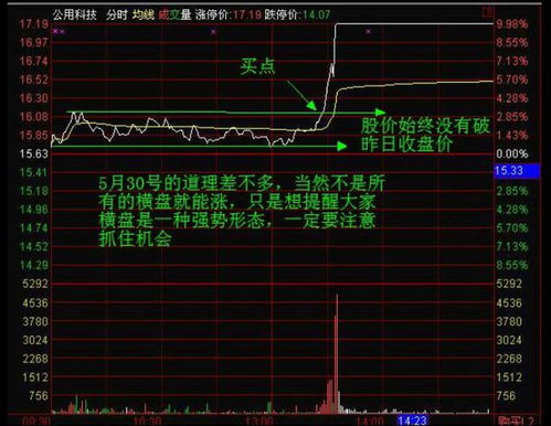 今天庞大集团的分时走势是怎么回事？？10.30的价位横盘这么久反映了什么？？