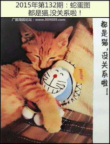 猜十二生肖,其中一只生肖