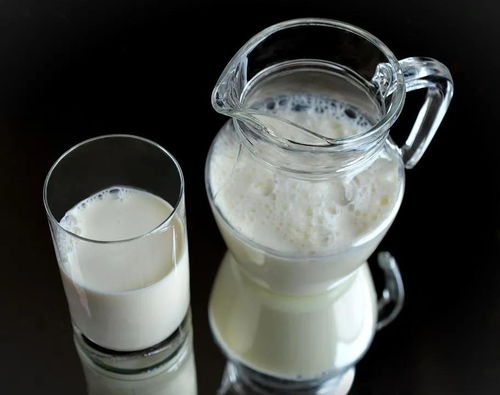 假牛奶 曝光 90 的人不会挑牛奶 到底哪种奶最好