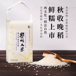 大米有什麼品牌