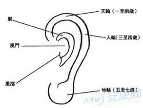 外耳轮长痣面相图