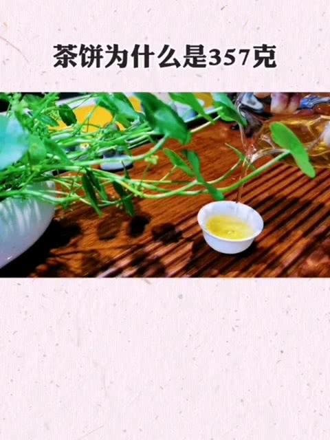 茶饼357是什么意思