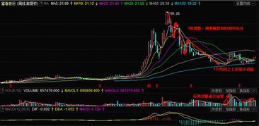 现在就买入一只成长股 放10年会是什么结果