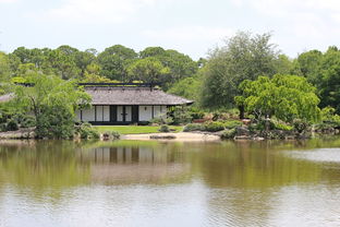 庭牖间，解读古代建筑的温馨一隅，庭庑的意思