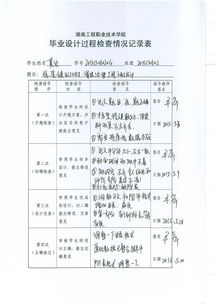 毕业论文过程检查记录表10次