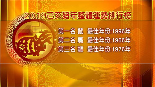 麦玲玲详解猪年运程 快签收你的独家开运宝典