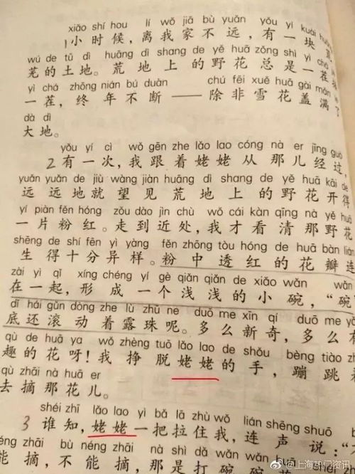 我的外婆作文左右