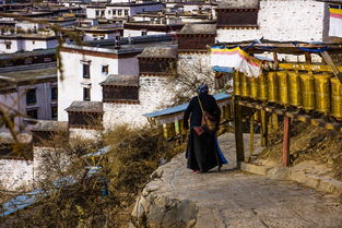 西藏扎布伦寺风景图片 第8张