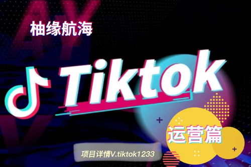tiktok国际版中文下载_TikTok引流模式