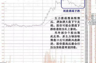 盘口能量、跟风系数具体怎么理解？