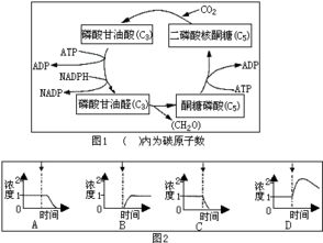 一种液体A，B的比例是5：4，现有30的量，如何去分配A，B之间的配比量，请帮忙计算下公式