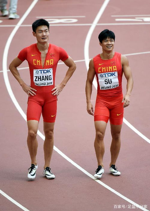 中国男子4x100米短跑接力,苗飞驰多高惊封